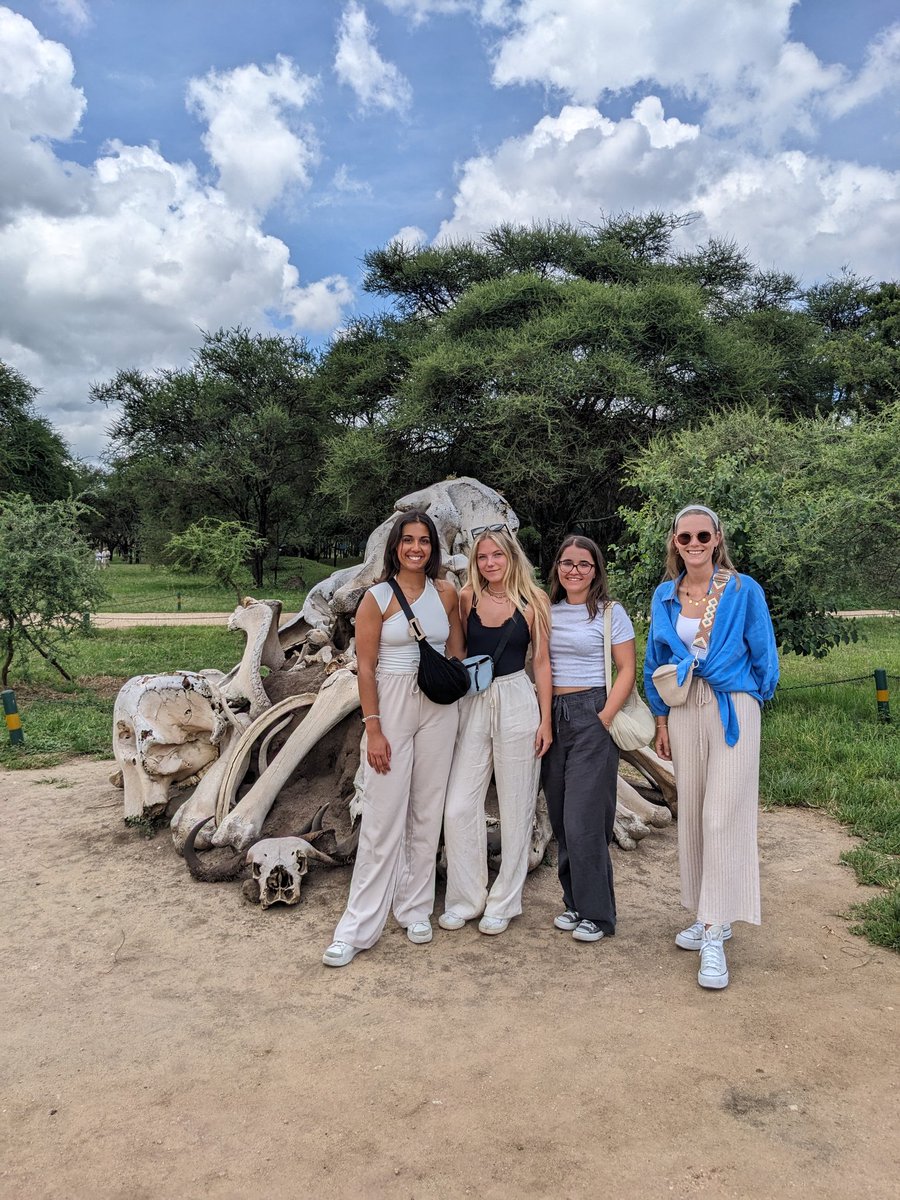 precise_tour's tweet photo. The park is also home to a diverse array of other wildlife, including zebras, wildebeests, giraffes, lions, cheetahs, and over 550 species of birds.  Tarangire is a haven for birdwatchers, with a greater number of bird species than even the famous Serengeti National Park. https://t.co/wwAEAtbXBv