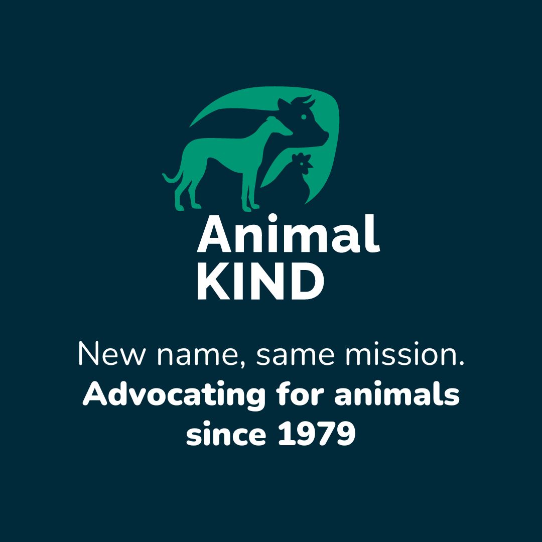 We are pleased to announce our new brand! AnimalKIND offers a reference to kindness and emphasises our core values of empathy, compassion, and justice. Meanwhile, the link between ‘animal kind’ and ‘humankind’ serves as a reminder that we should coexist.