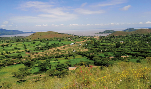 🌍In Ethiopia, agriculture, land use & climate change affect forest landscapes and freshwater ecosystems & the services they provide for biodiversity & society. This 4-year study in Lake Ziway explores ways to improve landscape & ecosystem management. ▶️on.cgiar.org/3xpWlFh