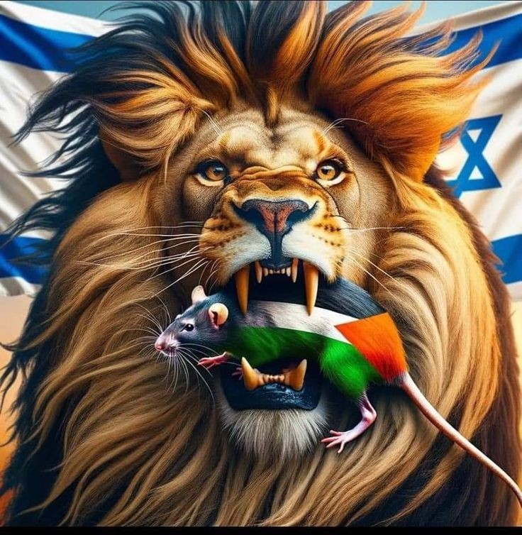 #IndiaStandwithIsrael
We indians stand with Israel ❤️
 #Israel 
#IranAttackIsrael #Iran #Israel #sundayvibes