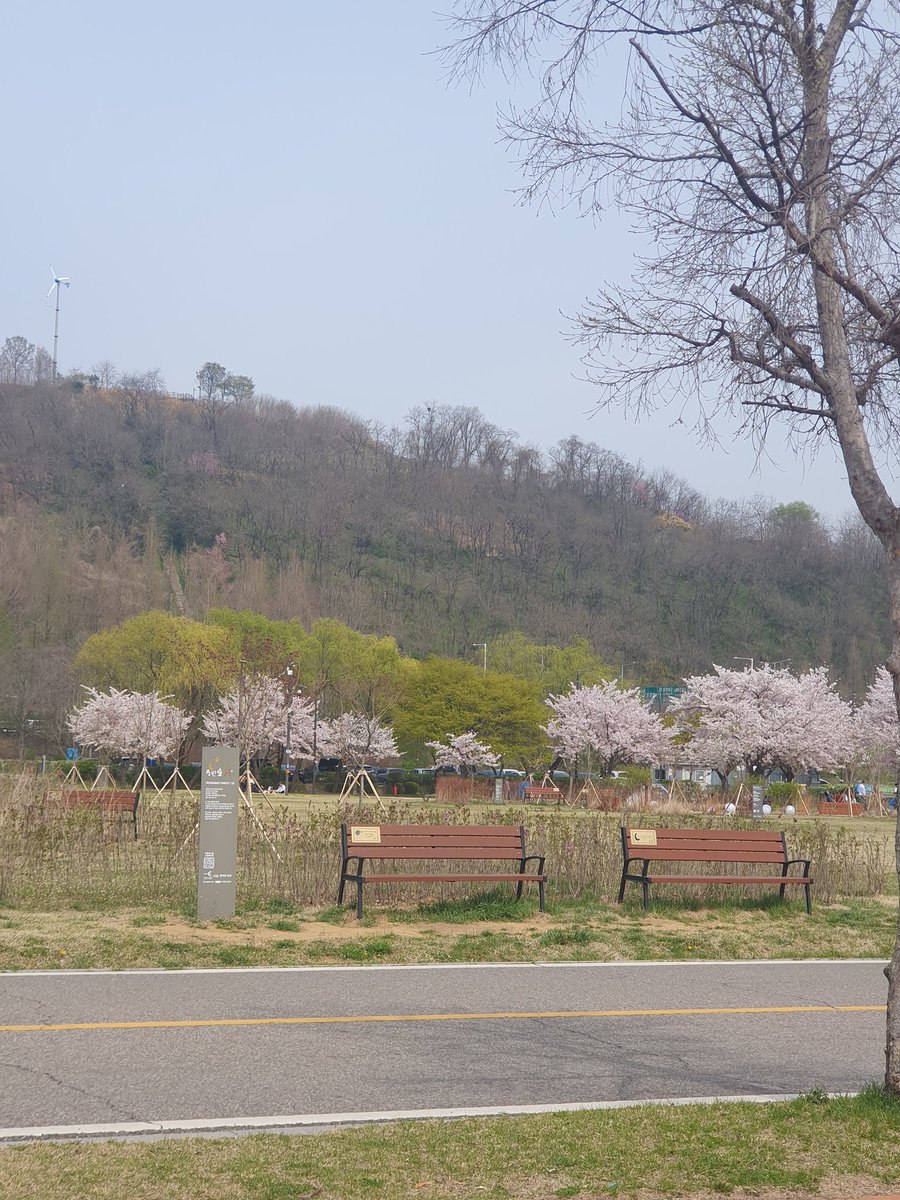 gimeuns01037730's tweet photo. 비가 시원하게도 내려 일주일전에 빈이숲간거 생각나 벚꽃이 만개해서 더 예뻤지 사진좀 더 찍을걸 멍했다 온거같아 애기 벚꽃도 활짝 피었는데 몇장못찍고 돌아와보니 아쉽더라 빈이숲 다녀온뒤로 애기벚꽃들이 눈에 들어와 빈이가 더 주변을 사랑하게 만들어 빈아 고맙구 사랑해 💚 💜
#빈이시 https://t.co/bFMzsZjCEW