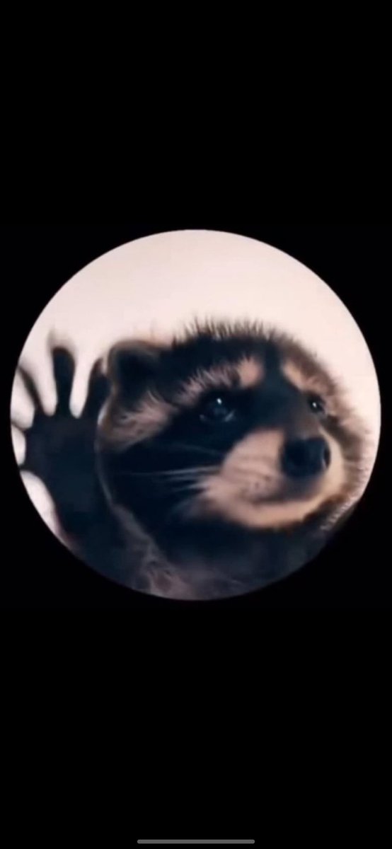 "La imágenes no pueden oírse "

《La imagen》: