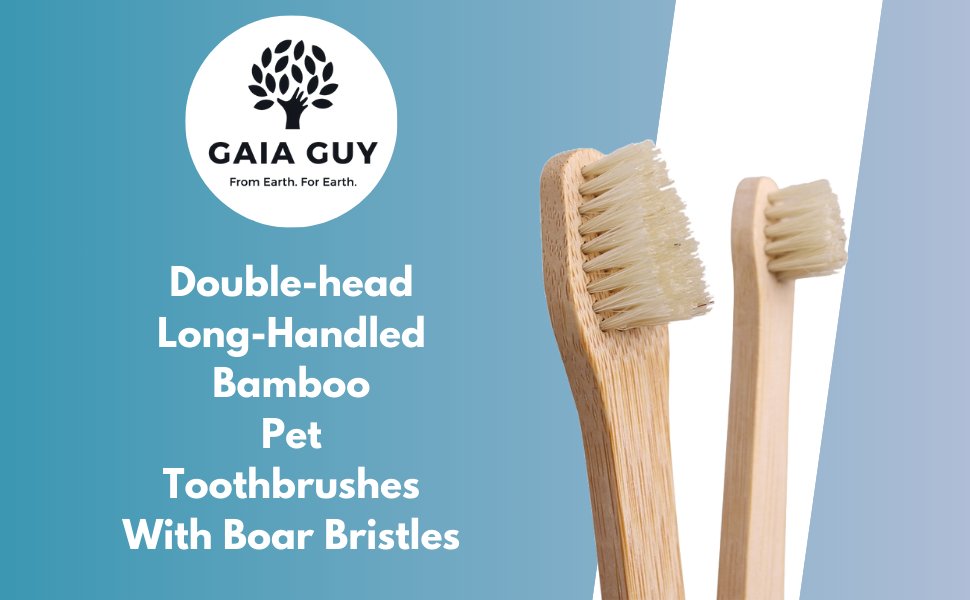 Gaia_Guy's tweet photo. Gaia Guy Bamboo and Boar Bristle Double-Sided Pet Toothbrushes - 6-Pack - for Dogs, Cats and The Planet - Plastic and Nylon-Free Natural Bristles - Small and Large Head Toothbrush https://t.co/V6o9mJaIOO #pettoothbrush https://t.co/0aKGeAfWDN