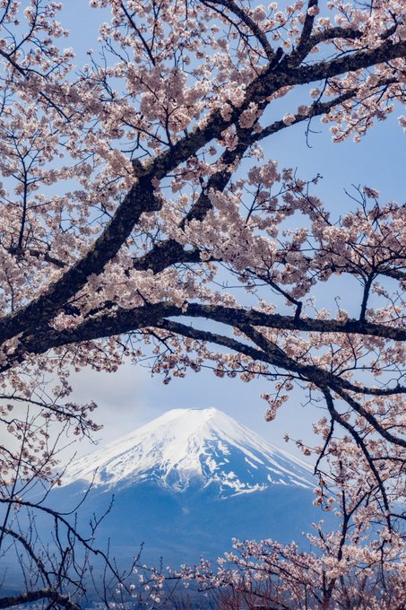 「富士山 誰もいない」のTwitter画像/イラスト(新着)