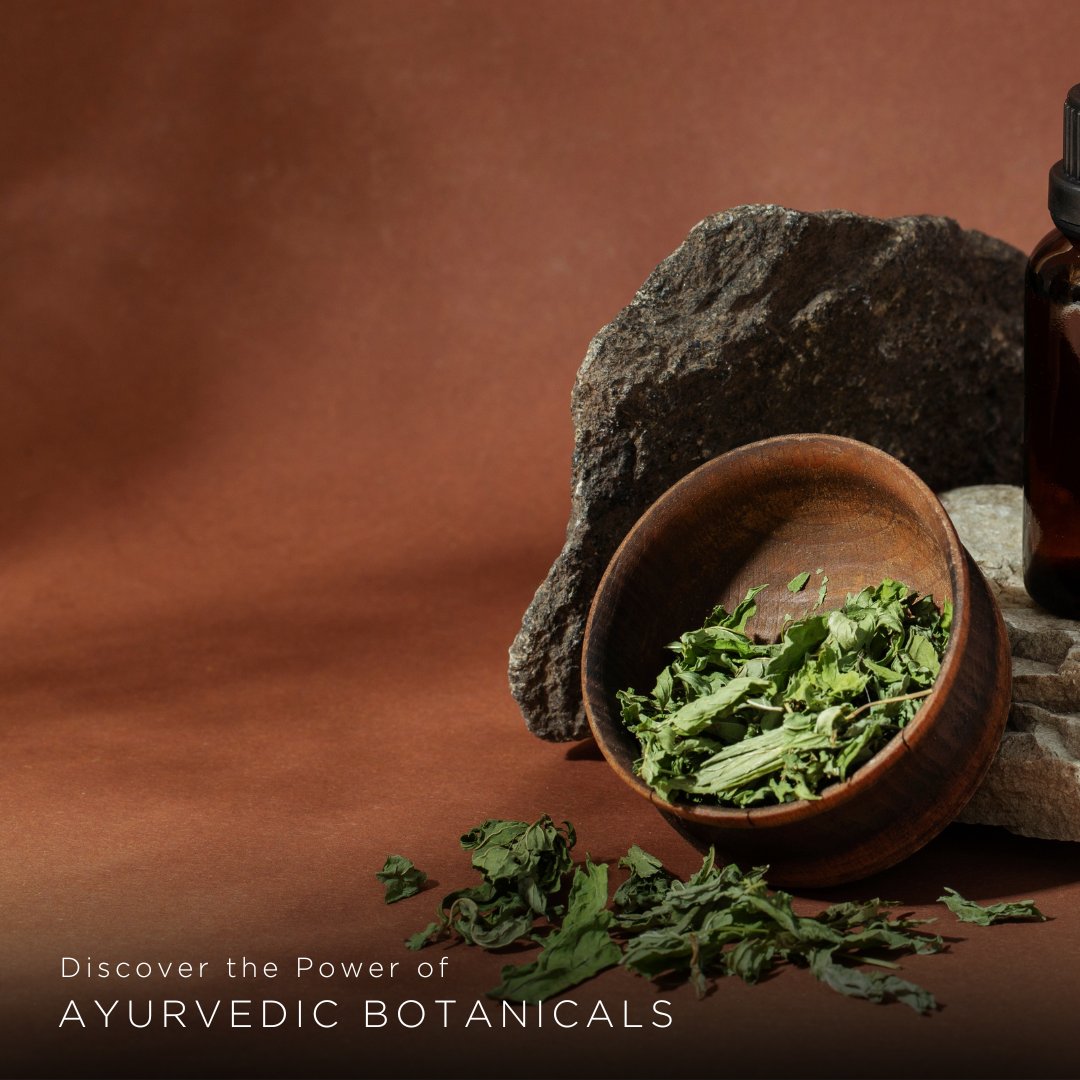 Immerse yourself in the world of beneficial Ayurvedic botanicals. Nature’s healing secrets await your discovery at Angsana Oasis Spa and Resort.​​

☎ at +91 98452 11036 or ✉ at bangalore@angsana.com​​
​​
#AngsanaOasisSpaAndResort #AngsanaHotels #SenseTheMoment