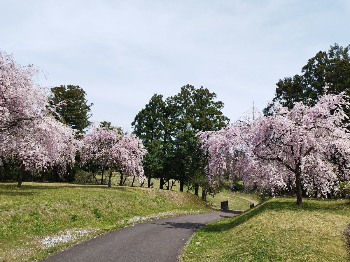 tateyamapark tweet picture