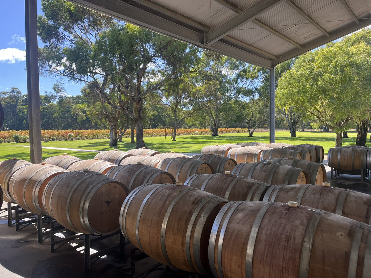 view from the forklift today isn’t bad.