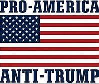 I am pro-American & 100% anti-Trump! Who's with me? 🙋‍♀️ 🙋‍♂️ 🙋