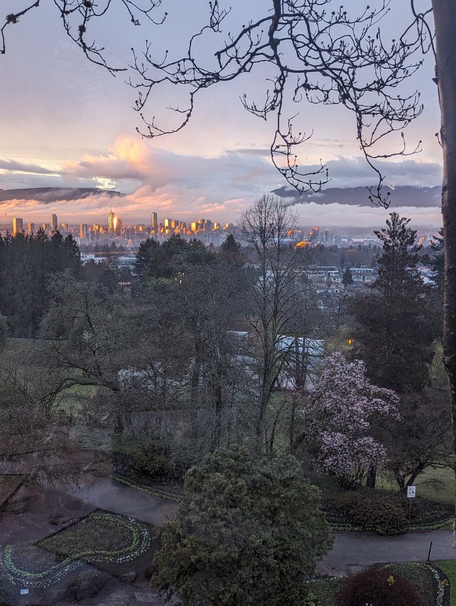 Vancouver is looking magical 😍 we have one of the best views of the city.