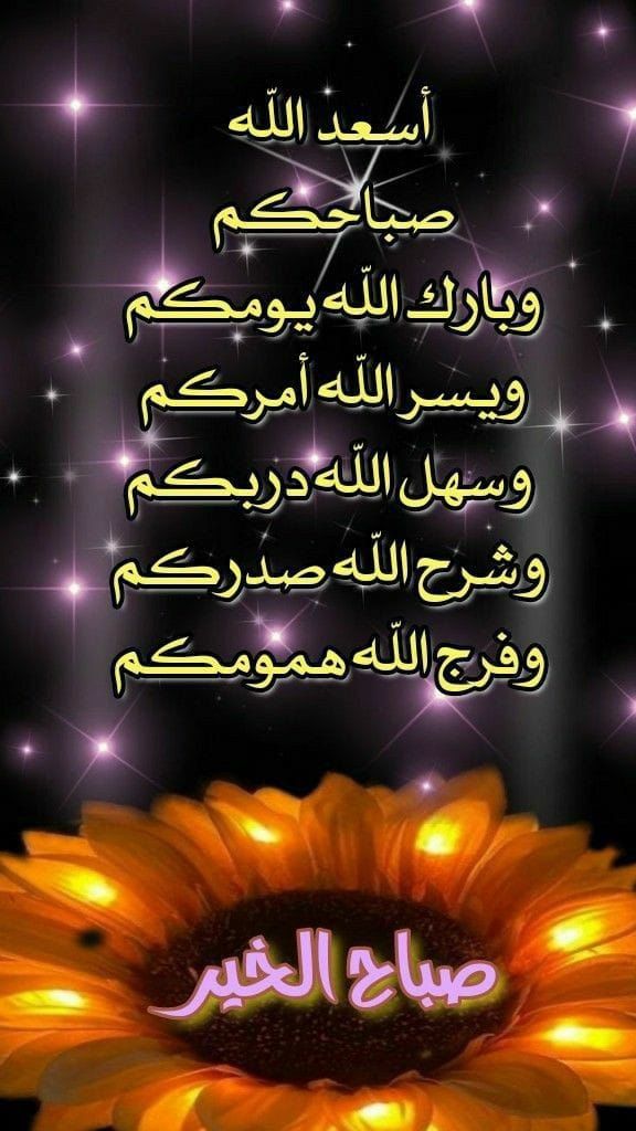 ما أجمل الصّباح حين يبدأ بذكر الله أصبحنا وأصبح الملك لله... طيّب الله يومكم بكل خير، وصباحكم سعيد...🕊️🕊️🤍🍃
⁧#صباح_الخير