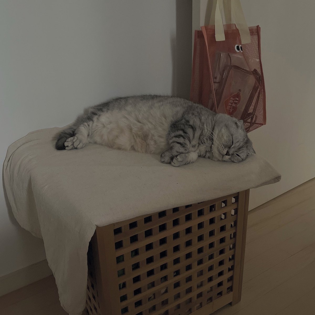 eastnorthmom's tweet photo. 아침에 일어나자마자
눈앞에 왕귀여운블랙타이거새우 있어서. . 
울면서 출근 준비했읍니다.., https://t.co/rhzxxrkMHd