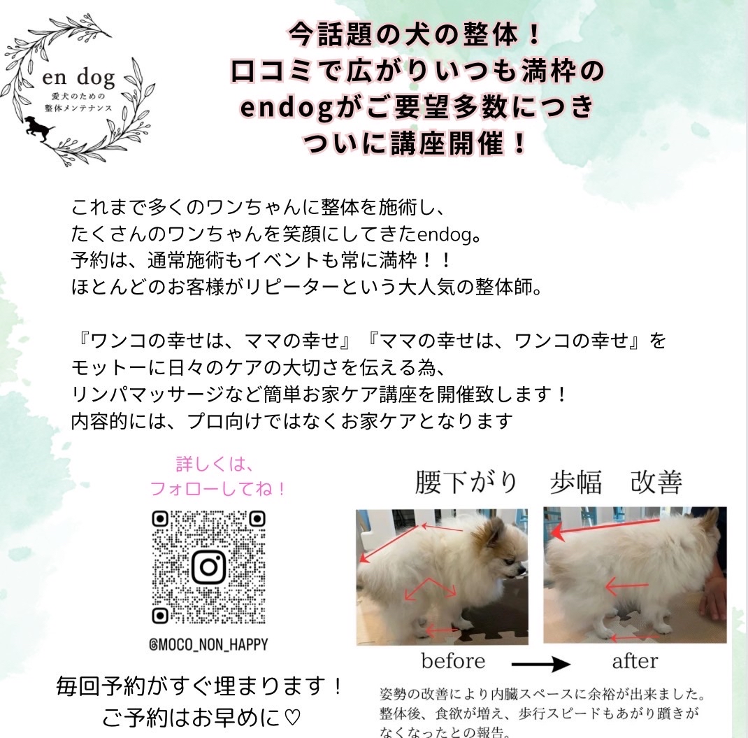 peppy_cafe's tweet photo. \\あの!!//
大人気!! 犬の整体師🐶💆
endogがPEPPYCAFEにて
簡単お家ケア講座を開催致します!
10組様限定!
詳しくはこちら
⇒ https://t.co/eZgExOS9Nw
#犬の整体
#endog
#ペピイカフェ
#ペットカフェ
#犬同伴あり
#ペットOK https://t.co/TIj1VcSgpw