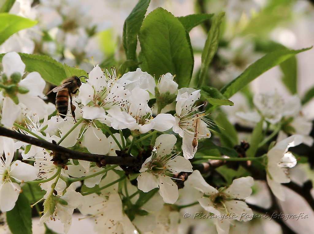 #SeCèUnaCosa è l'incanto dell'alba, che sorprende sempre, lasciano occhi,anche se stanchi, una luce di speranza. BUON LUNEDI'A TUTTI.