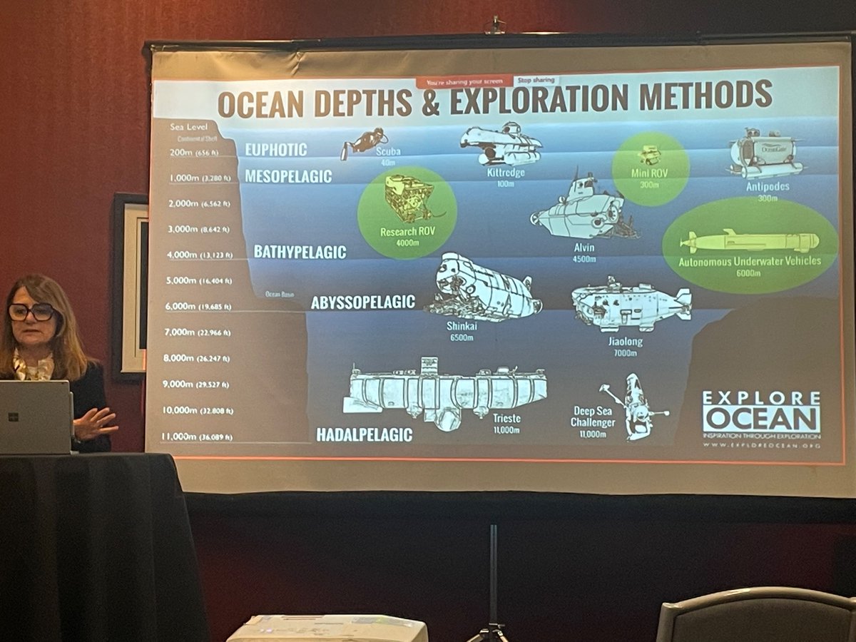 leixin_ma's tweet photo. #IEEERoboSoft 2024 workshop on "Pristine Waters Observatories – Where Eco and Soft Robotics Meet" https://t.co/Ei9E1ChUuN