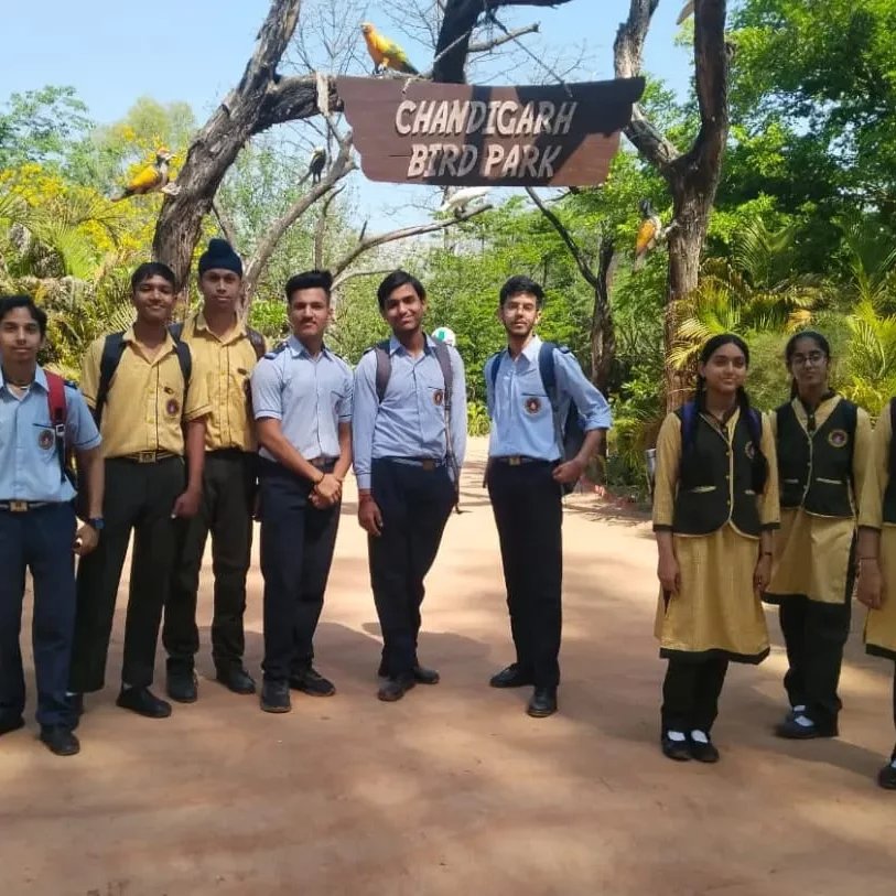 Digital Safety Club Ambala tweet media