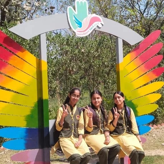 Digital Safety Club Ambala tweet media