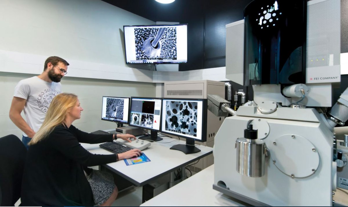 We’re proud to be home to one of the world’s most powerful electron microscopes giving scientists unmatched insights that fuel discoveries like windows that generate solar power and stronger, lighter metals for aircrafts. Read more 📖: mona.sh/Flov50RfRFK @MCEM_Monash