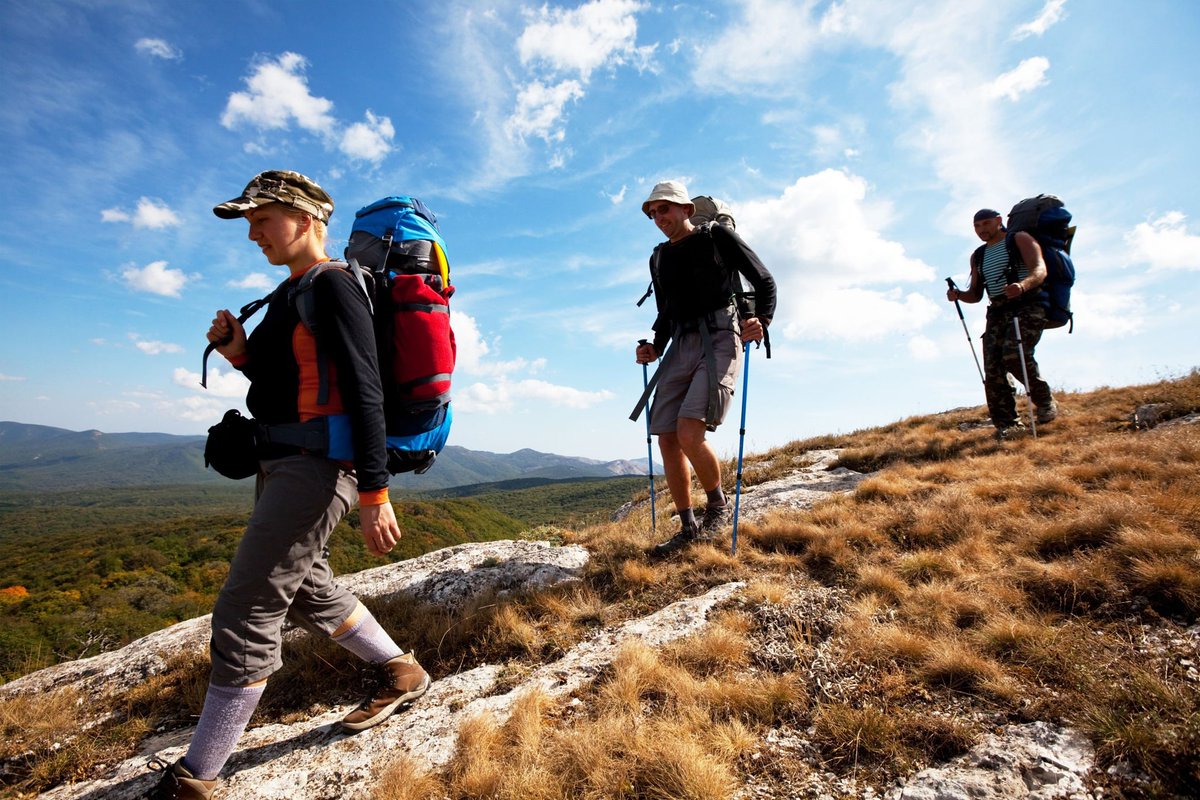 Benefits of Hiking Demystified
talkmint.com/benefits-of-hi…
#hiking #outdoorsports #healthylifestyle #healthyliving #talkmint