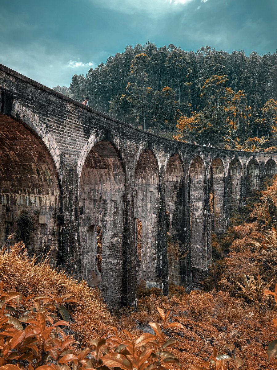 Sri_Skyhawk's tweet photo. Ella, with the famous โNine-arch Bridgeโ
#ella #ninearchbeidge #SriLanka #iphonephotography #landscapes #beautiful #gorgeousplaces #nature #naturelovers #stunning #picoftheday #Creative #bridge https://t.co/wMTXFQ8J3d