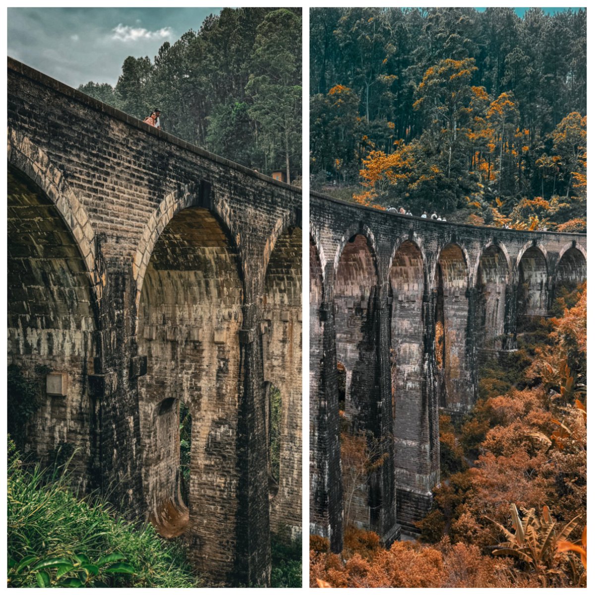 Sri_Skyhawk's tweet photo. Ella, with the famous โNine-arch Bridgeโ
#ella #ninearchbeidge #SriLanka #iphonephotography #landscapes #beautiful #gorgeousplaces #nature #naturelovers #stunning #picoftheday #Creative #bridge https://t.co/wMTXFQ8J3d