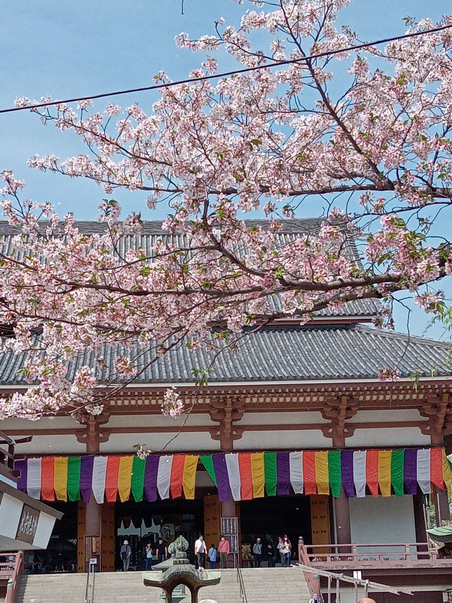 西新井大師に行ってきました。🌸桜も葉ざくらになっいましたね～