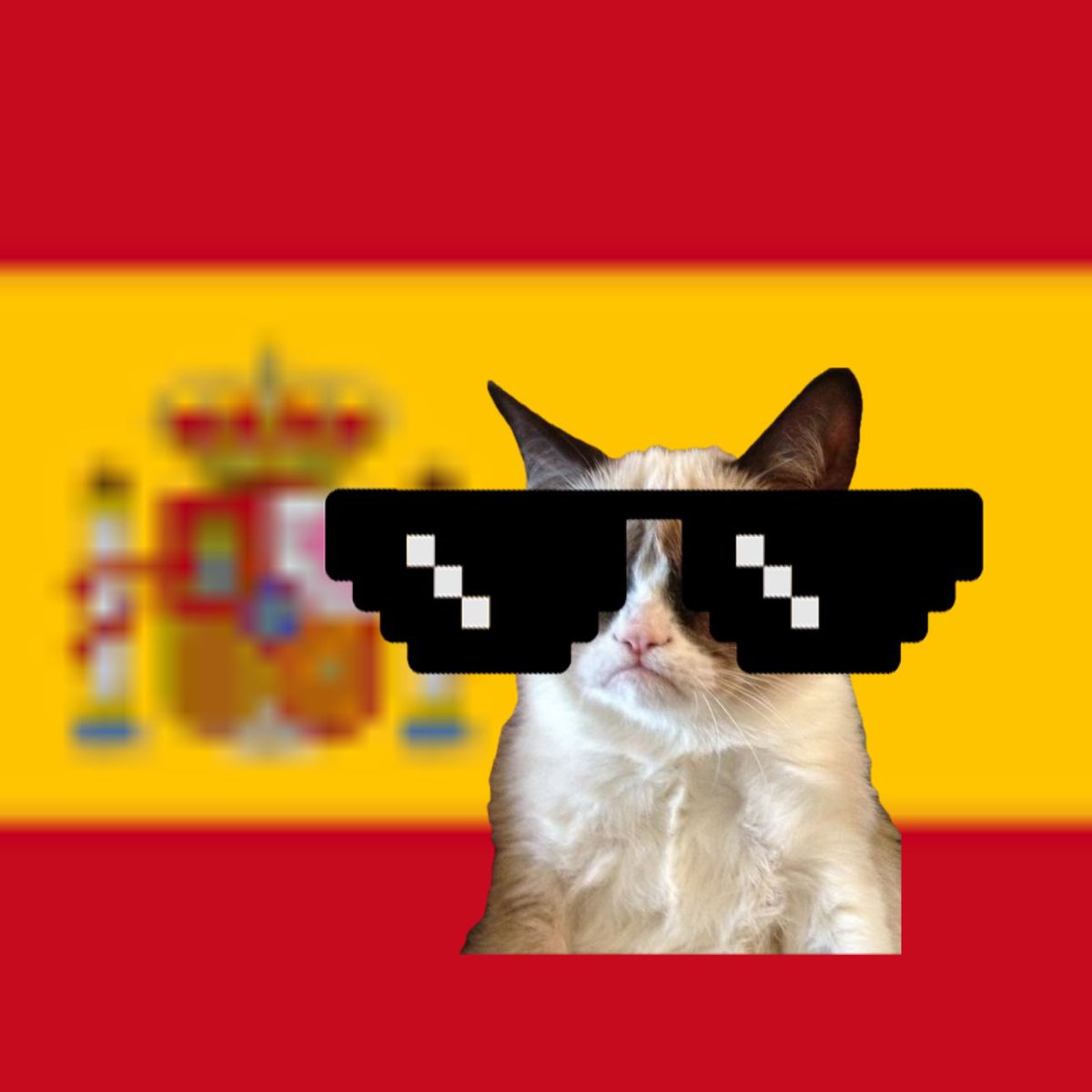 DegenPantsAda's tweet photo. @DegenPantsAda is proud to present #elgatowif @SpanCatWif and we have been given 2 x 100 million #elgatowif to give away to two lucky winners.

Follow @DegenPantsAda and @SpanCatWif 

Like this post

Tag three people

RT

post your wallet or handle

#CardanoCommunity let’s goooo https://t.co/cebx0PCNIU