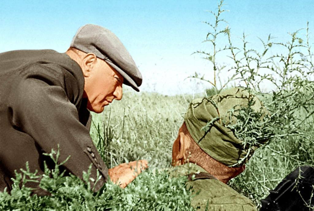 Atatürk Fotoğraf-Video Arşivi 01 (@senses_vedat) on Twitter photo 