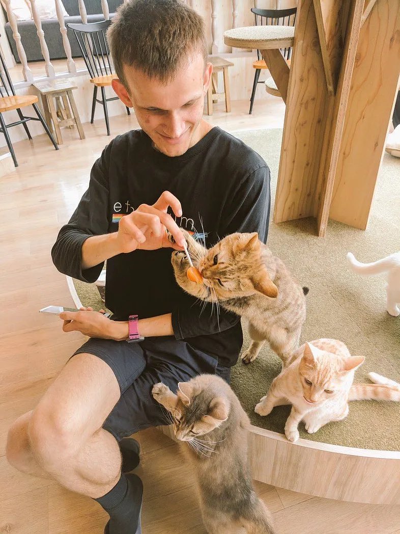 Ethereum founder Vitalik Buterin giving his cat named Hemule a lollipop