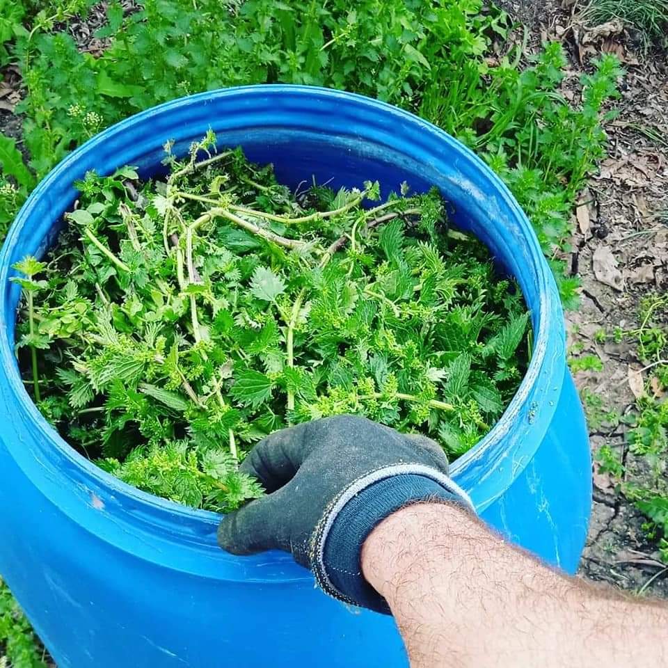 Recep Somuncu tweet media