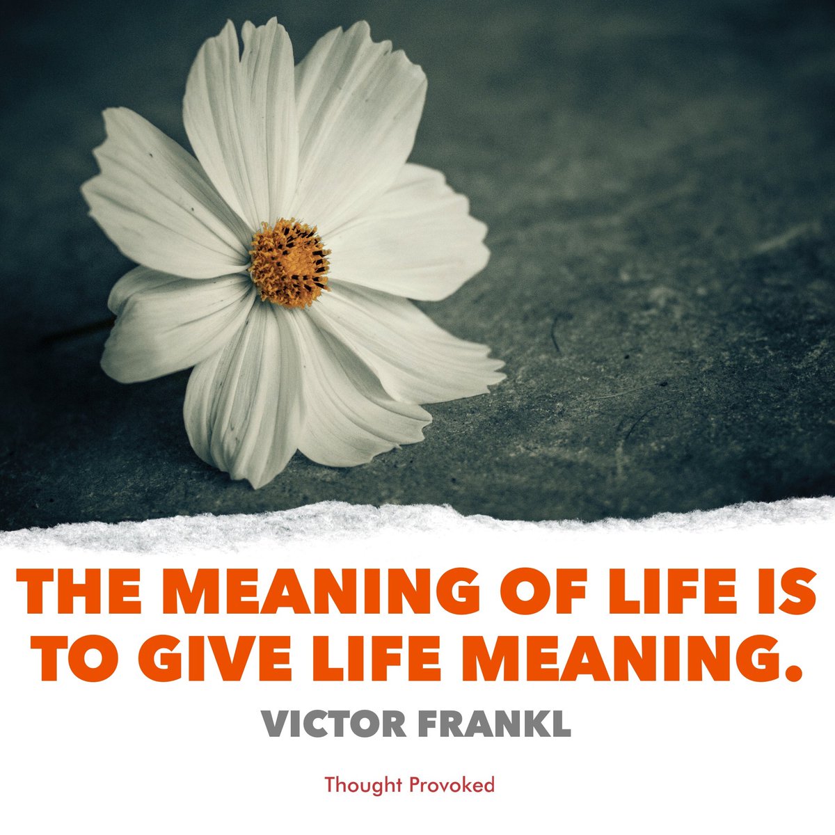 The meaning of life is to give life meaning. #quote #IQRTG