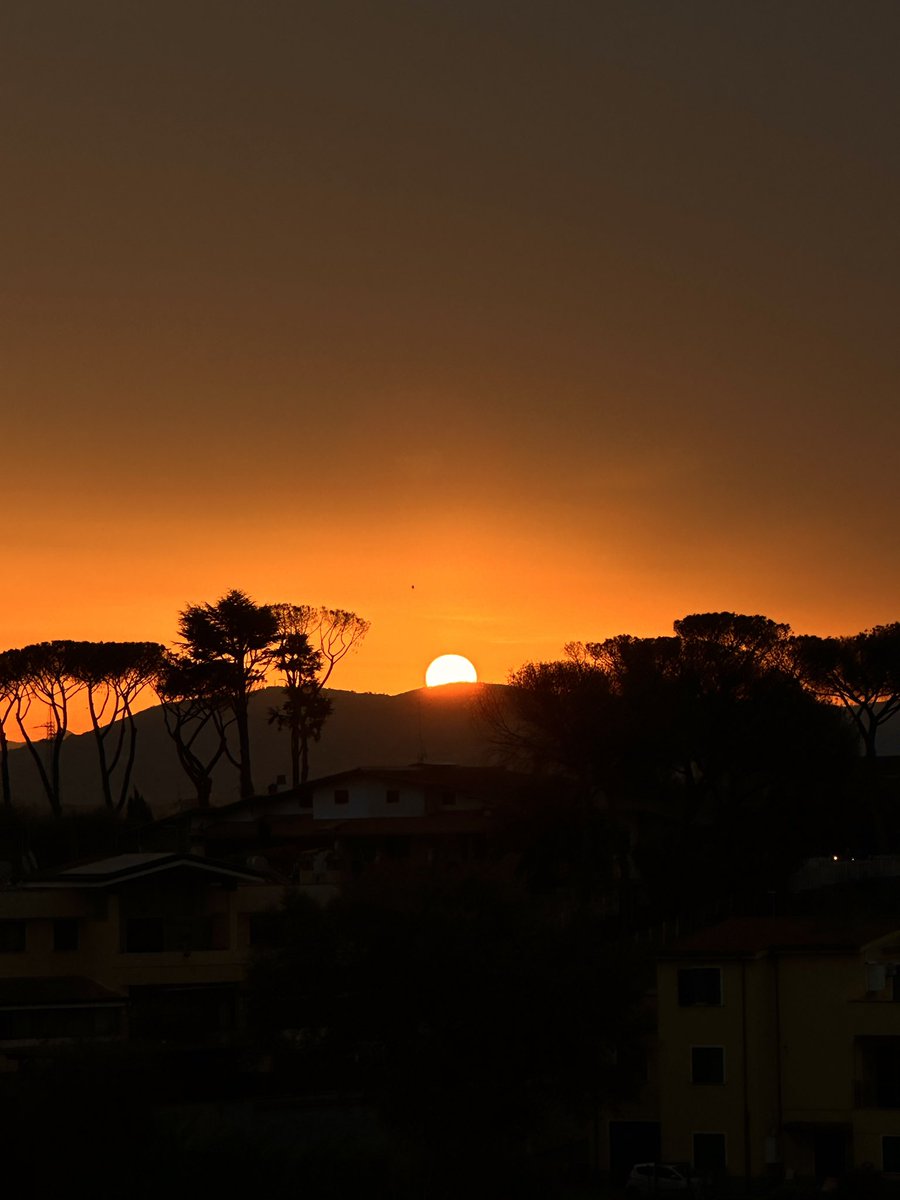 e dalla mia stanza mi auguro che oggi vada tutto bene, e che questo sia l’ultimo sforzo e che io cominci a vivere veramente, non ho voglia e ho tanta paura peró si deve fare.💙