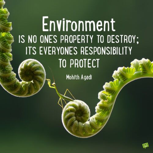 Let's together protect this environment!!
#EnvironmentalConservation #ConservationIsKey #ClimateAction 
 #Conservation #Sustainability #ProtectOurPlanet