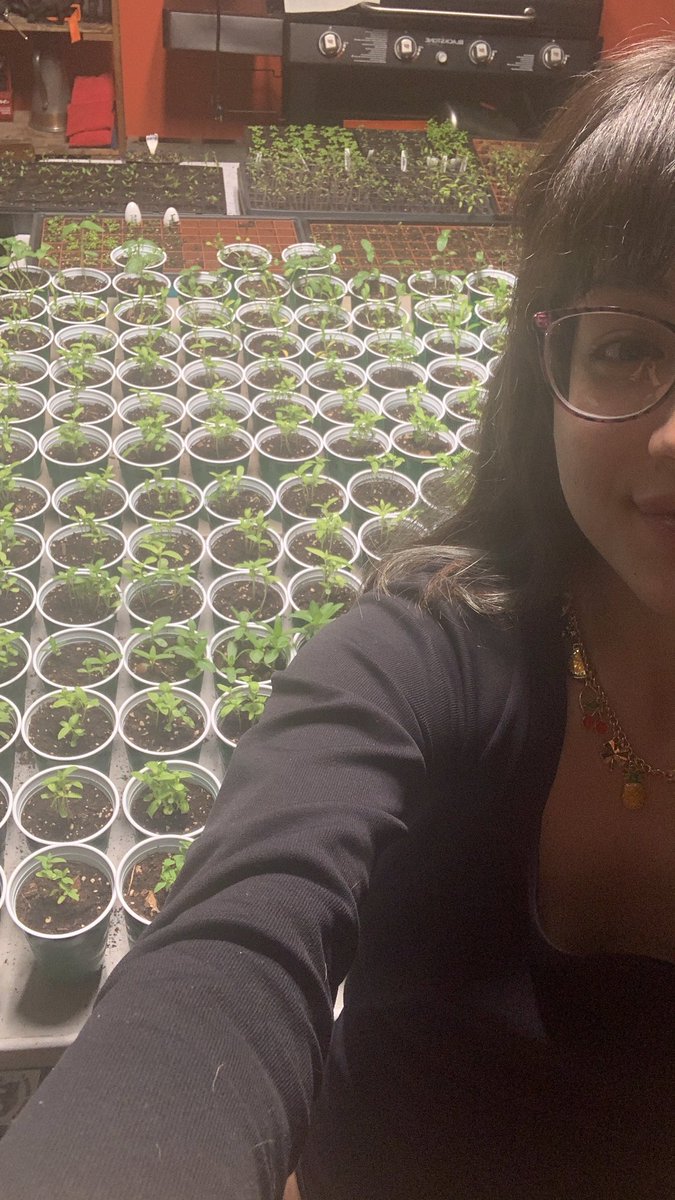 Tonight’s progress 🧚🏼✨