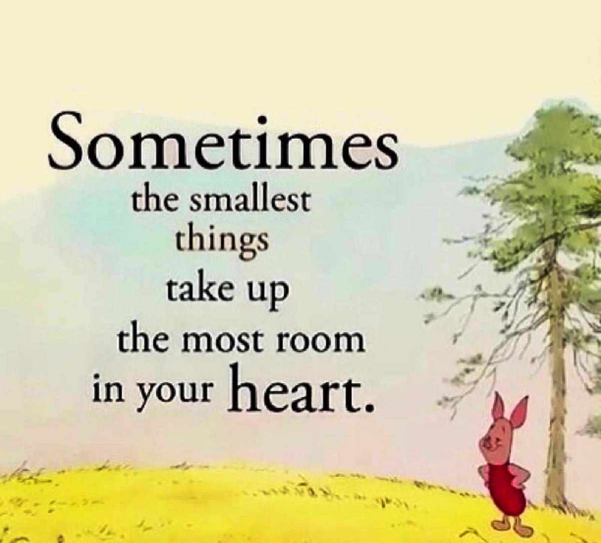 Monday Friendly Reminder…Sometimes the smallest things take up the most room in your heart. 🙌💕#Mondayvibes #MondayMorning #enjoylife