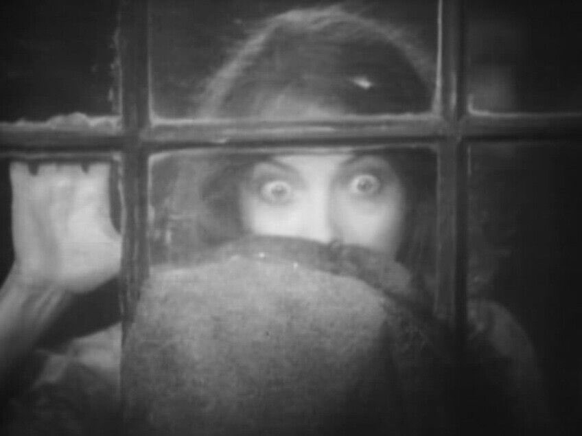 The MVP in “The Wind” was Lillian Gish’s eyes #TCMParty