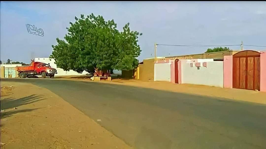 SDN_BARQ's tweet photo. #السودان | صباح الخير يا وطن 🇸🇩 من قرية (كبرنارتي) - شمال السودان.

#برق_السودان https://t.co/PRPP5s6hNX