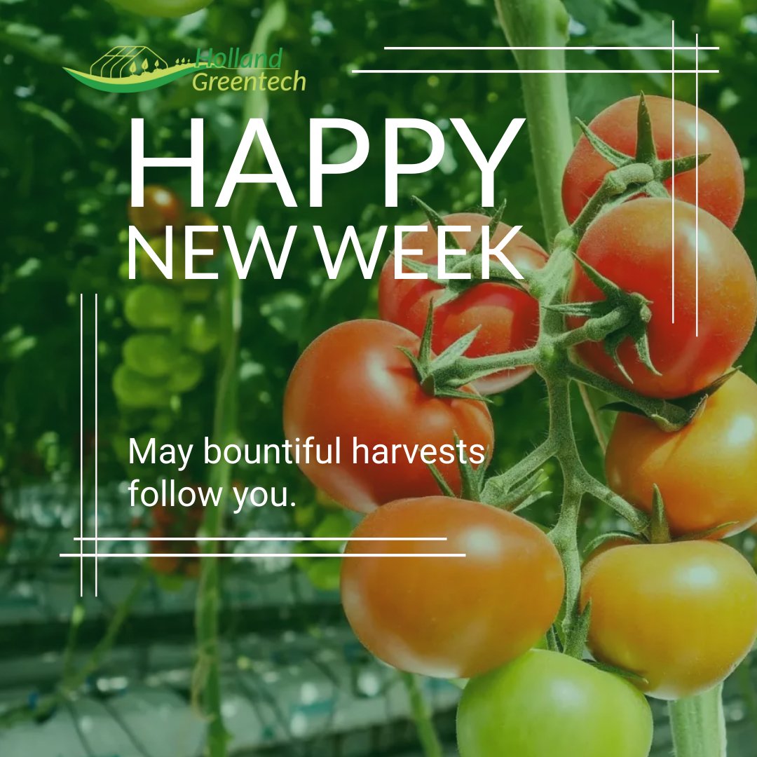 Wishing you a joyful and productive new week ahead! Let's embrace each day with positivity and purpose.
#SeedsThatSmile #GrowHappiness #Agribusiness #FarmLife #SustainableFarming #FarmToTable #OrganicFarming #PrecisionAg #AgTech #SoilHealth