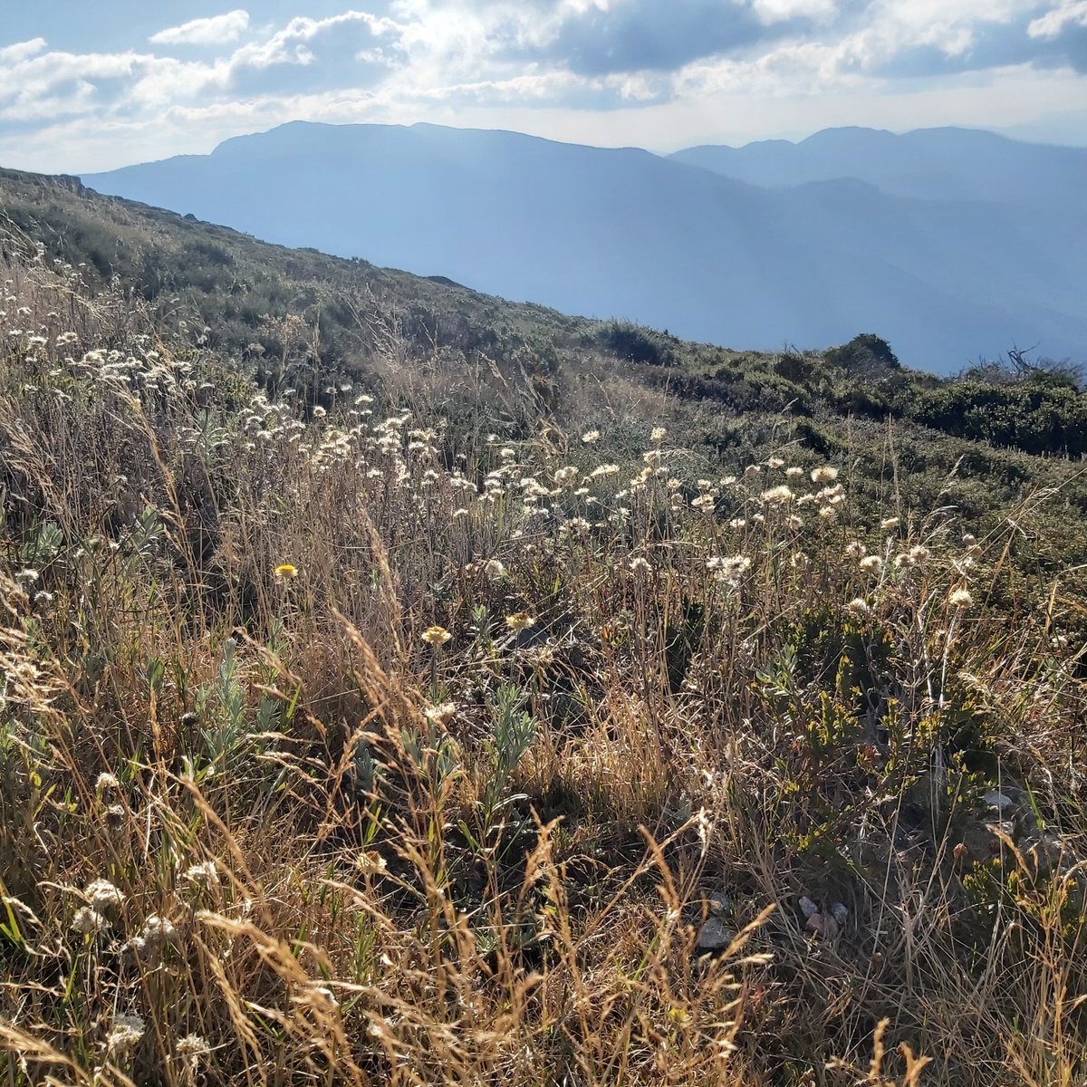 A bit of mountain goodness for your Monday afternoon.