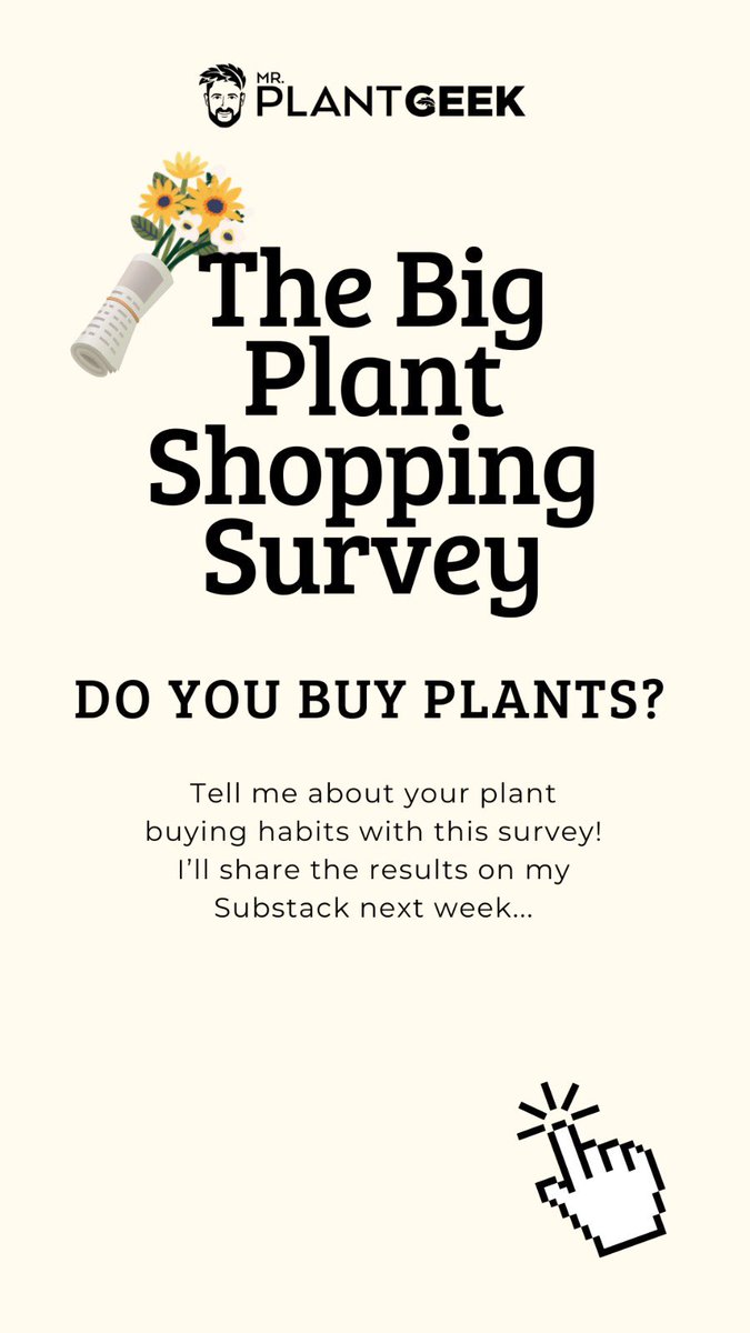 Today is the launch of my Big Plant Shopping Survey, designed to discover how we buy and enjoy plants in our homes and gardens ! Have a peek here, please fill it in, and feel free to spread the word, so everyone can take part! open.substack.com/pub/mrplantgee…