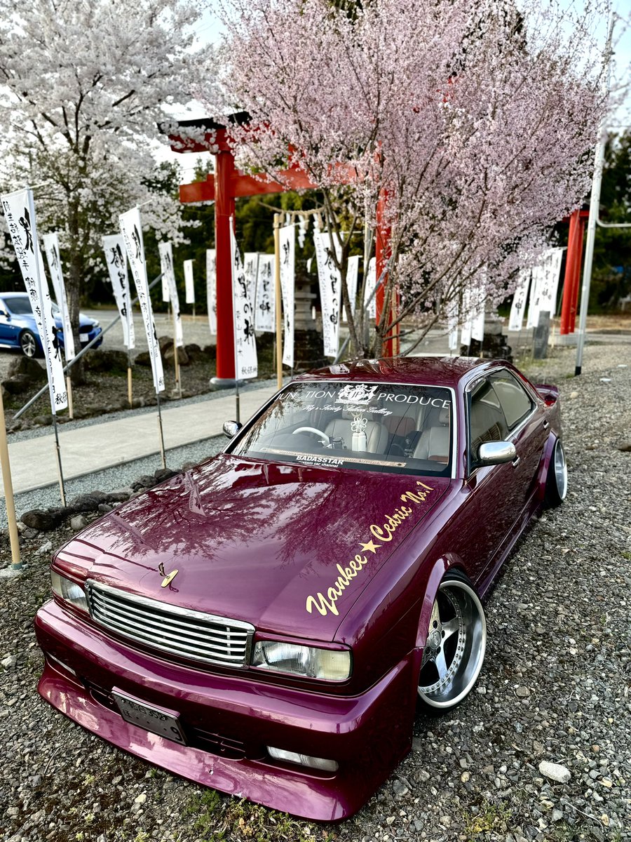 早い者勝ち❗　SR以上41枚まとめ売り❗ 桜とVIPCAR 平成VIPと平成ギャル男