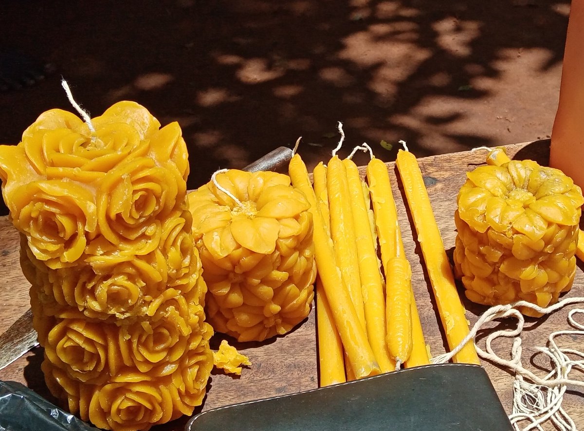 Another day, another product from the #beehouse. These are candles made from bee wax. #Beekeeping