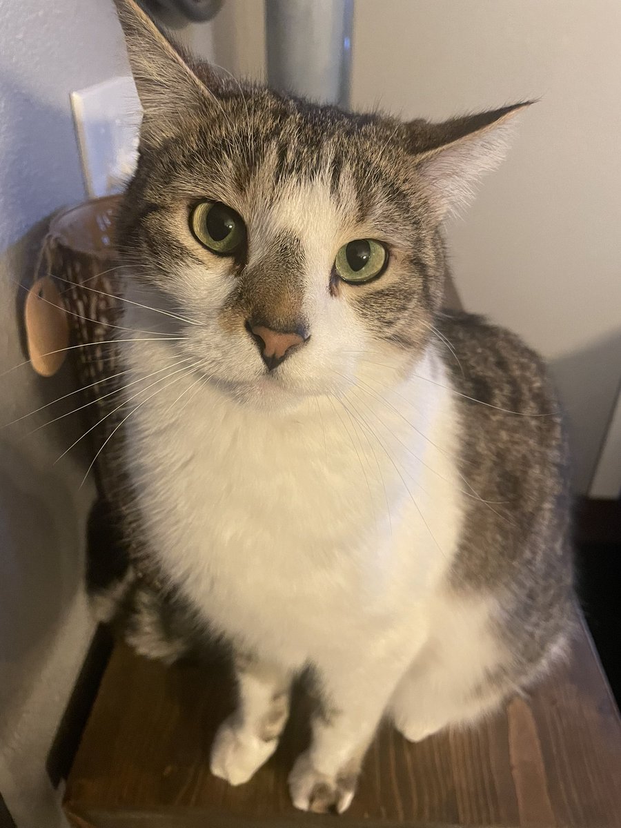 The beauty of life is eating an orange and thinking you only have 3 pieces left, then picking it up to realize you have 6.