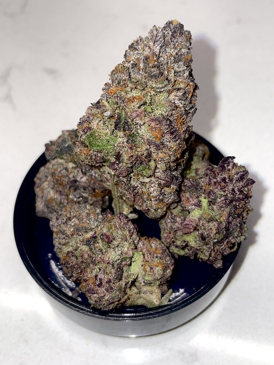 terphuntersla's tweet image. Black Caiman ⚫️🐊(Double Platinum Cookies S1) Cultivated by #grandifloragenetics &amp;amp; #gulfcoastla