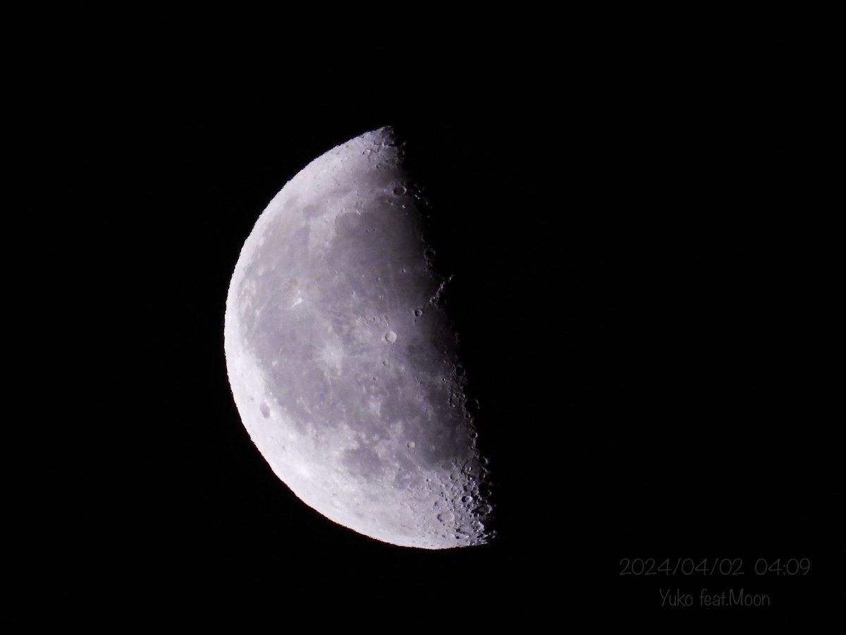 u_korinko's tweet photo. 月の出傾きが変わるのを眺めながら
春の夜を楽しんでいる

あれはいて座の星？

はくちょうが「おやすみ」を告げ
やがて朝を連れてくるだろう

2024/04/02

#カコソラ #カコツキ #月 #下弦 #Moon #HalfMoom 
#Cygnus #NorthernCross #月に想いを
#写真で伝えたい私の世界
#ファインダー越しの私の世界 https://t.co/uwBgluhprI