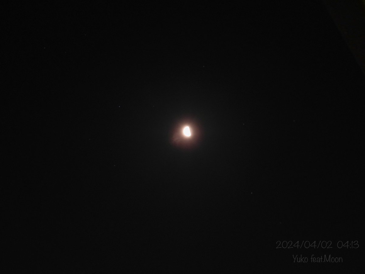 u_korinko's tweet photo. 月の出傾きが変わるのを眺めながら
春の夜を楽しんでいる

あれはいて座の星？

はくちょうが「おやすみ」を告げ
やがて朝を連れてくるだろう

2024/04/02

#カコソラ #カコツキ #月 #下弦 #Moon #HalfMoom 
#Cygnus #NorthernCross #月に想いを
#写真で伝えたい私の世界
#ファインダー越しの私の世界 https://t.co/uwBgluhprI