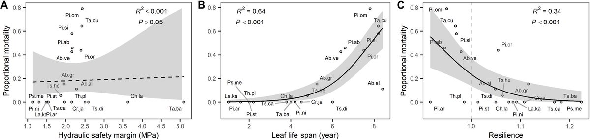 How to survive drought and heat? #Drought #mortality of #conifer #tree #species is not related to hydraulic stem failure- it increases with leaf lifespan bc of crown dieback, and with lower growth resilience to previous droughts bc of C depletion. SciencAdv 10.1126/sciadv.adl4800