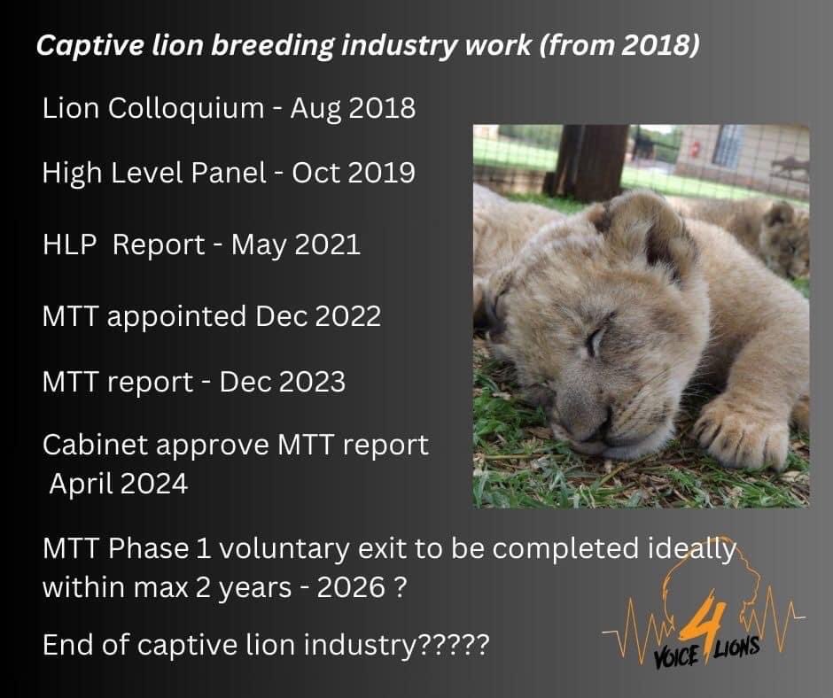 For a huge number of years many organisations and individuals have been raising the issues surrounding the captive lion breeding industry. This meme highlights just the time that it has taken for us to get from the Lion Colloquium in 2018 to now.