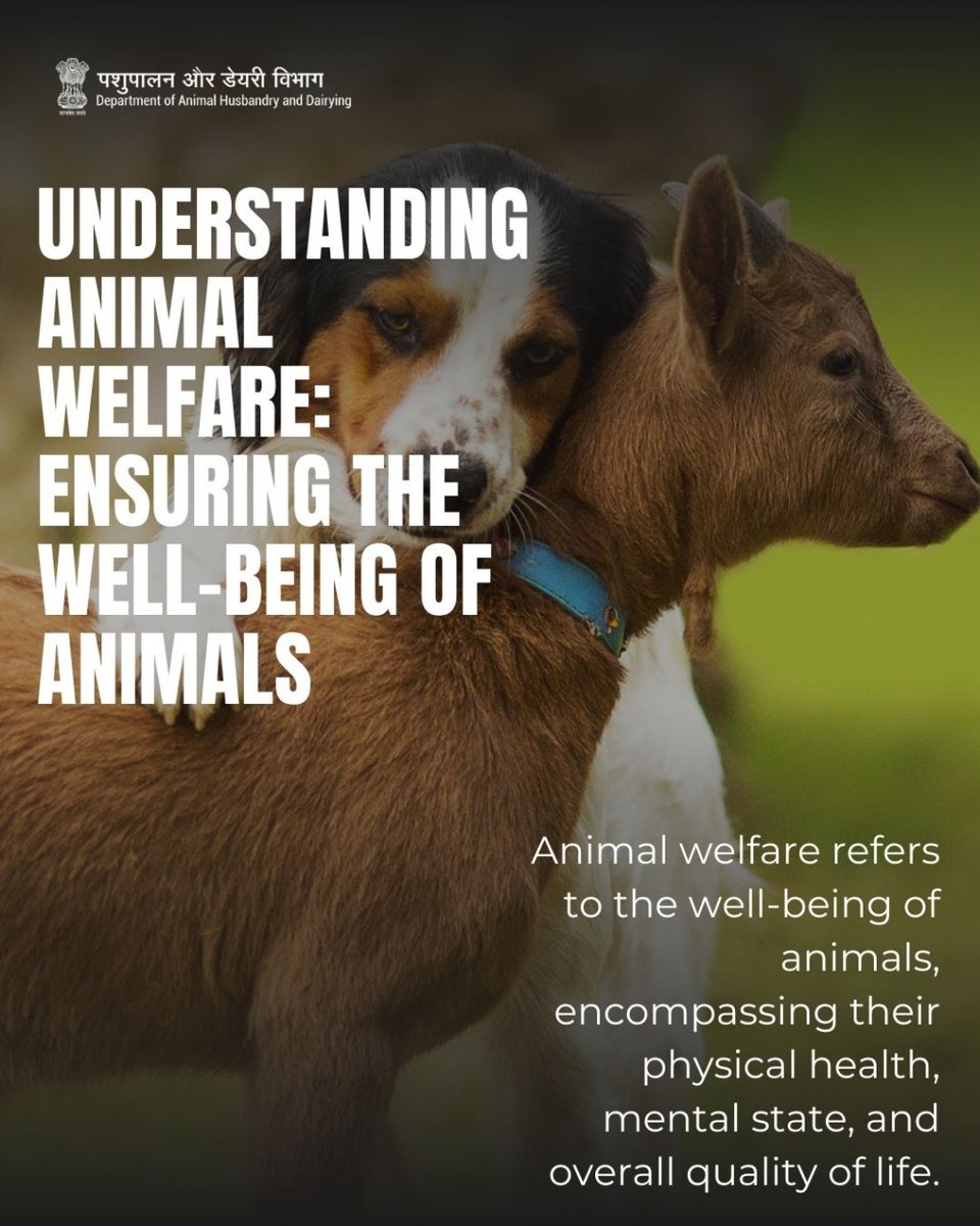 Promoting Compassionate Care: Nurturing the Lives of Animals.
#animalwelfare  #livestockcare #animalcare #animalhusbandry