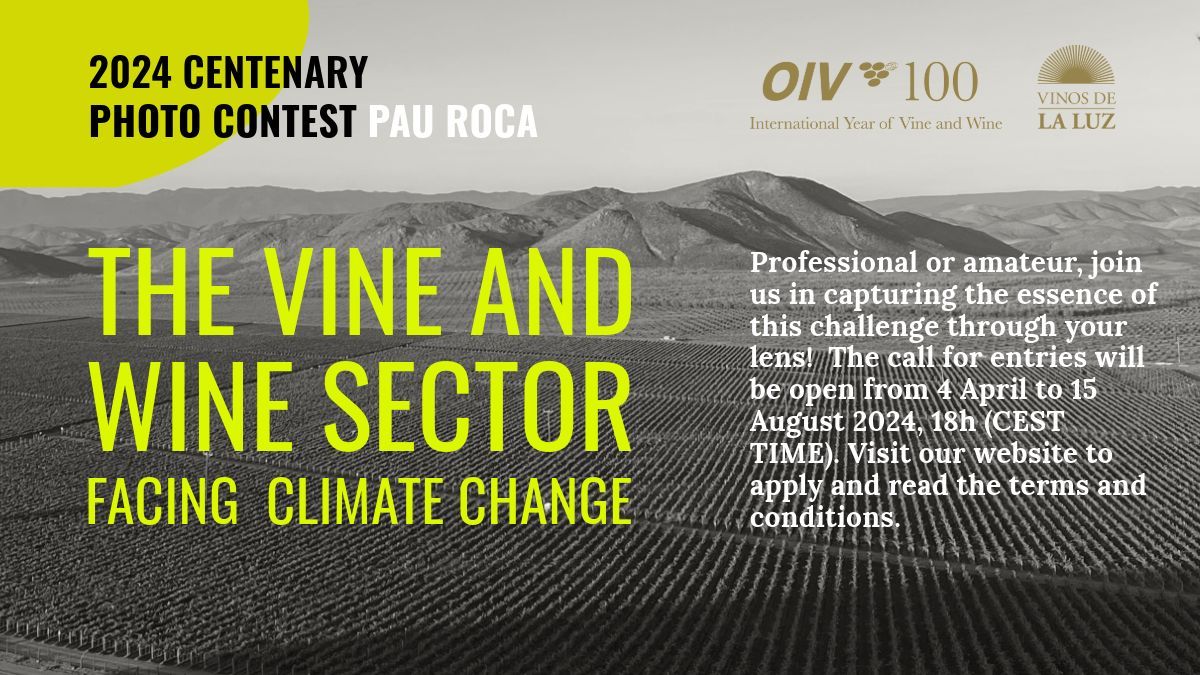 📸 Photo Contest Pau Roca: the OIV with @vinosdelaluz is calling all photography enthusiasts to contribute to a global dialogue about the future of the vine and wine industry in the face of climate change.🔗 All you need to know here: buff.ly/49Bsqau #PhotographyContest
