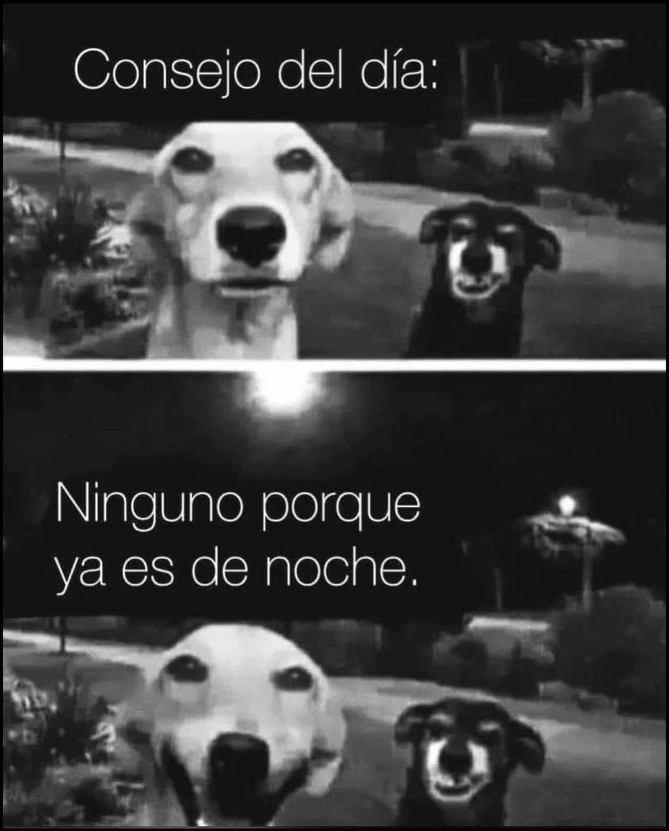 Chiquito (@infchiquito) on Twitter photo 